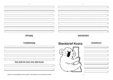 Koala-Faltbuch-vierseitig-4.pdf